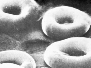 Vintage photograph of red blood cells under a microscope