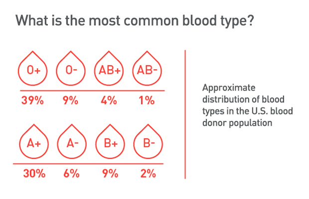 Type O Blood: O+ and O- Blood Types - Bloodworks Northwest