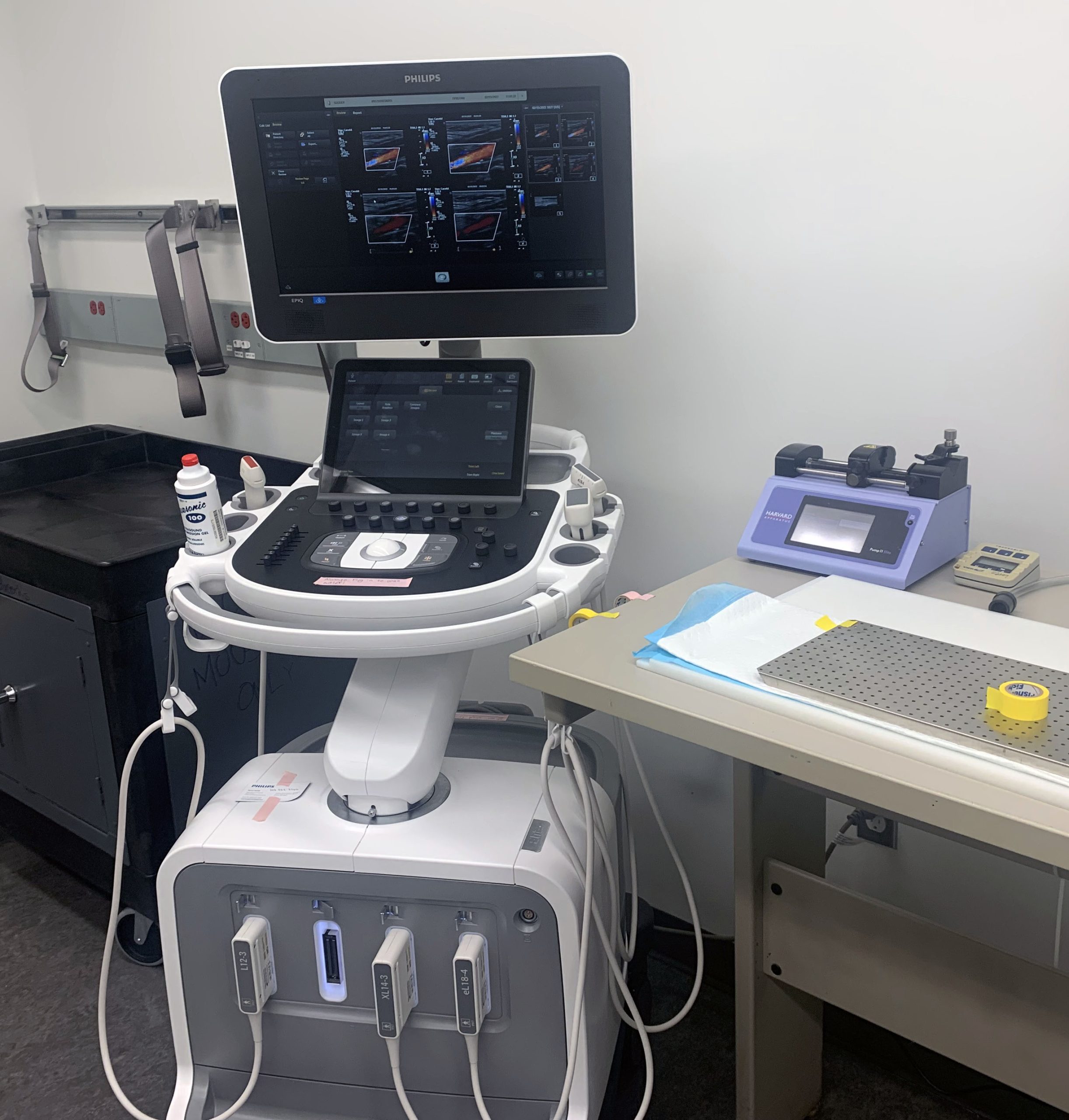 Contrast-enhanced ultrasound molecular imaging systems